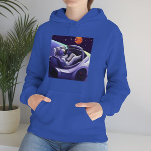 Dui Astronaut Unisex Hooded Sweatshirt