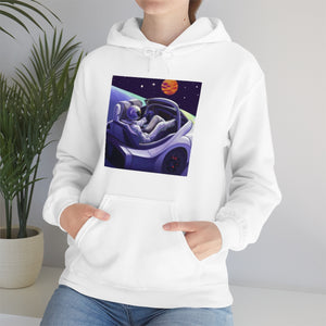 Dui Astronaut Unisex Hooded Sweatshirt