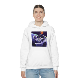 Dui Astronaut Unisex Hooded Sweatshirt