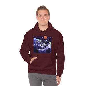 Dui Astronaut Unisex Hooded Sweatshirt