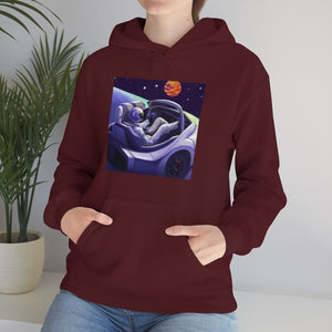 Dui Astronaut Unisex Hooded Sweatshirt