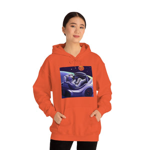 Dui Astronaut Unisex Hooded Sweatshirt