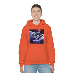 Dui Astronaut Unisex Hooded Sweatshirt