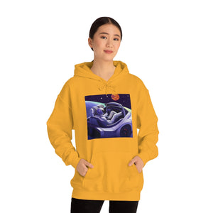 Dui Astronaut Unisex Hooded Sweatshirt