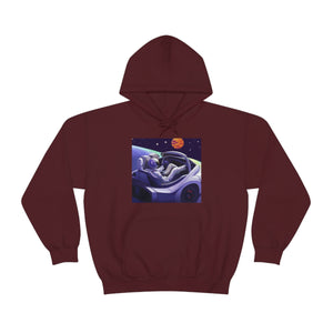 Dui Astronaut Unisex Hooded Sweatshirt