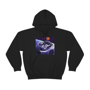 Dui Astronaut Unisex Hooded Sweatshirt