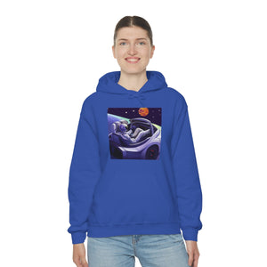 Dui Astronaut Unisex Hooded Sweatshirt