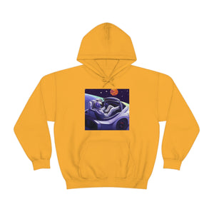 Dui Astronaut Unisex Hooded Sweatshirt