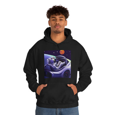 Dui Astronaut Unisex Hooded Sweatshirt