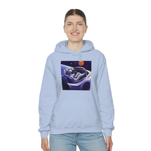 Dui Astronaut Unisex Hooded Sweatshirt