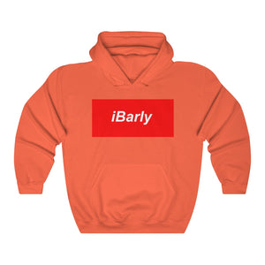 iBarly Box Logo Hooded Sweatshirt