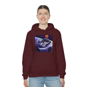 Dui Astronaut Unisex Hooded Sweatshirt