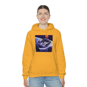 Dui Astronaut Unisex Hooded Sweatshirt