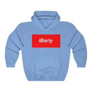 iBarly Box Logo Hooded Sweatshirt