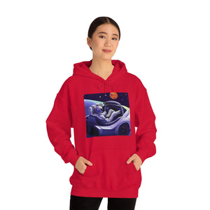 Dui Astronaut Unisex Hooded Sweatshirt