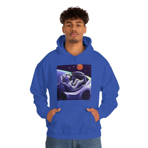 Dui Astronaut Unisex Hooded Sweatshirt