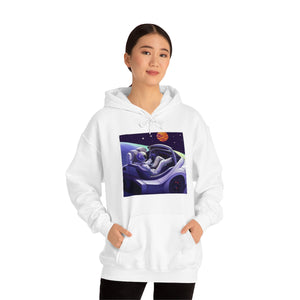 Dui Astronaut Unisex Hooded Sweatshirt