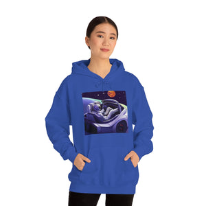 Dui Astronaut Unisex Hooded Sweatshirt