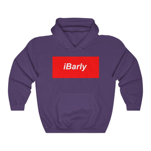 iBarly Box Logo Hooded Sweatshirt